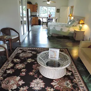 https://hale-pua-villa-hibiscus-suite.hotelsinhawaii.org